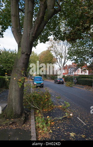 Londra, Regno Unito. 28 Ott, 2013 . Postumi di mattina presto tempesta forza raffiche di vento nella periferia di Londra, rami cucciolata a alberata strada suburbana a Merton Park. La tempesta, denominato St Jude, ha portato la windiest meteo a colpire il Regno Unito dal 1987. Credito: Malcolm Park editoriale/Alamy Live News Foto Stock