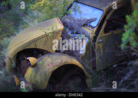 Citroen 2CV AU van, relitto di un Deux Chevaux nei boschi, modello 1951-1954, Roquebrune Cap Martin, Roquebrune-Cap-Martin, Foto Stock