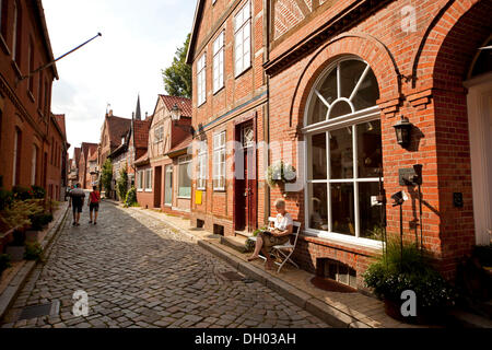 Tipico lane nella città vecchia di Lauenburg Elba Lauenburg distretto, Schleswig-Holstein Foto Stock