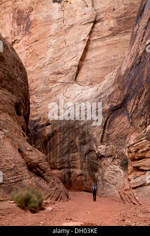 Tourist sul sentiero attraverso la Grand lavare Gorge, il Parco nazionale di Capitol Reef, Capitol Reef National Park nello Utah, Stati Uniti Foto Stock