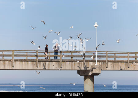 L'uomo alimentazione di gabbiani sul molo a Koserow, isola di Usedom, Meclemburgo-Pomerania Occidentale Foto Stock