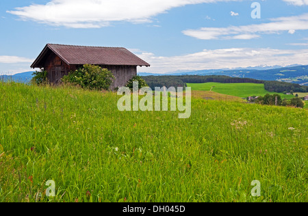 Tettoia in legno/fienile in campo, Alpe di Siusi regione delle Dolomiti, Italia Foto Stock