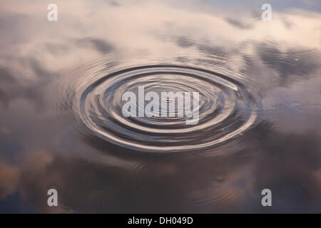 Cerchi di acqua dopo una pietra cadde in, con riflessione di nuvole nel cielo, Sassonia Foto Stock