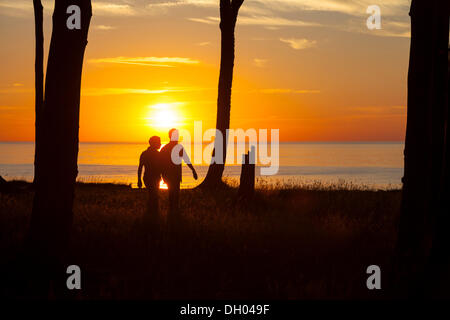 La gente camminare al tramonto nella foresta fantasma lungo le falesie costiere, Nienhagen, Meclemburgo-Pomerania, Germania Foto Stock