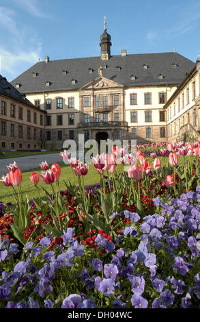 Corte d onore, palazzo della città di Fulda, Hesse Foto Stock