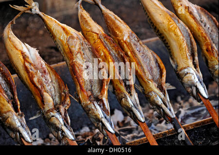 Pesce su spiedini, storico Oktoberfest a Monaco di Baviera, Baviera, Baviera Foto Stock