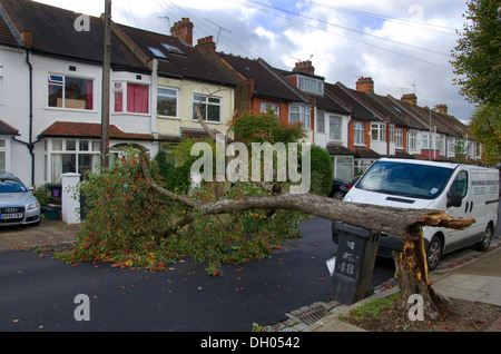 Un albero caduto su una strada a New Malden, a sud ovest di Londra dopo 'St Judes Storm' Foto Stock