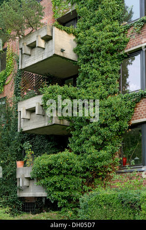 Appartamento Residenziale casa ricoperta da edera (Hedera helix), il centro storico della città di Regensburg, Alto Palatinato, Bavaria Foto Stock