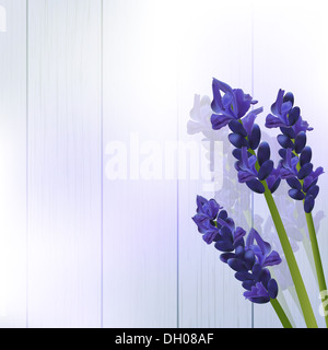Fiori di lavanda contro un pannello in legno sfondo Foto Stock