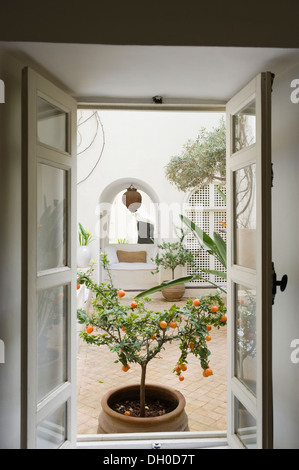 Vista attraverso la finestra marocchino di arancio nel cortile interno Foto Stock