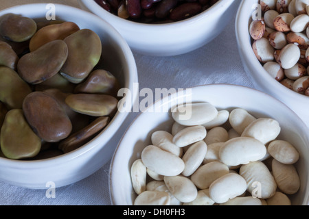 Secchi fave di zucchero, burro Fave, fagioli rossi, fava in bianco bocce Foto Stock