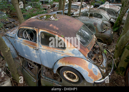 Auto cimitero Kaufdorf vicino a Berna, Svizzera, Europa Foto Stock