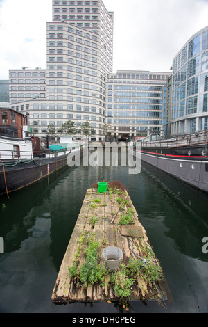 26/10/2013 Barge e da Canary Wharf, Docklands, Londra, Inghilterra, Regno Unito Foto Stock