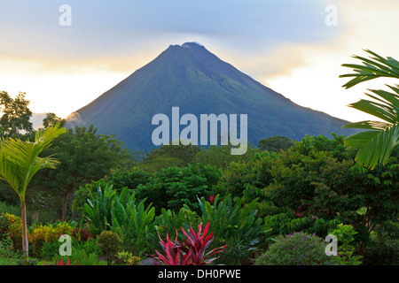 Un lussureggiante giardino in La Fortuna, Costa Rica con il Vulcano Arenal in background Foto Stock