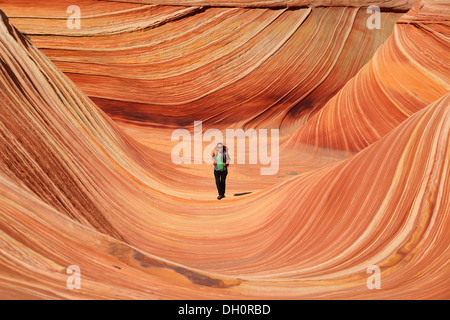 Le incredibili formazioni arenarie l'onda in Northern Arizona, Stati Uniti d'America Foto Stock