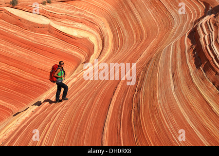 Le incredibili formazioni arenarie l'onda in Northern Arizona, Stati Uniti d'America Foto Stock