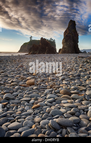 Pile di mare al Ruby Beach, Penisola Olimpica, il Parco Nazionale di Olympic, Washington Foto Stock