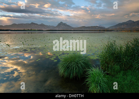 La mattina presto umore a Lago Hopfensee in Algovia orientale vicino a Füssen, Baviera, PublicGround Foto Stock