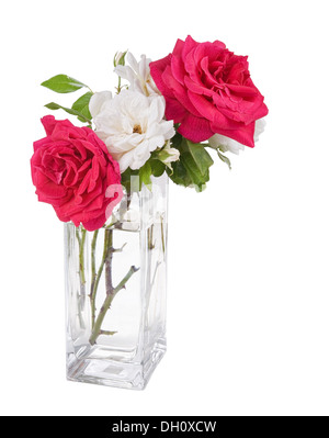 Giardino di Rose nel vaso isolato su sfondo bianco Foto Stock