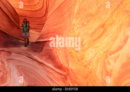 Le incredibili formazioni arenarie l'onda in Northern Arizona, Stati Uniti d'America Foto Stock