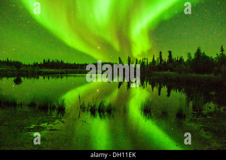 Un bellissimo skyline del Northern lights Aurora Boreale in Yellowknife Yukon territori del Canada Foto Stock