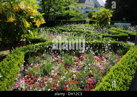 Fioritura letto con bianco e gaura impatiens Foto Stock