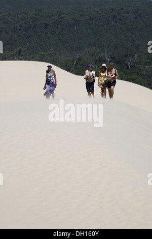 Dune du Pyla, Bassin d'Arcachon, Gironde, Aquitaine, Francia. Foto Stock