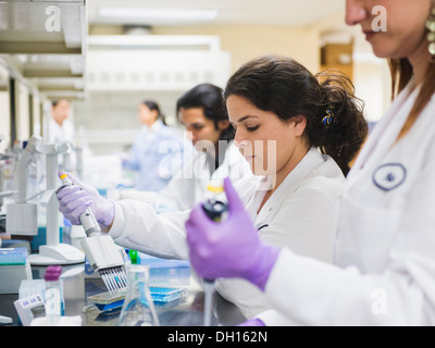 Gli scienziati che lavorano in laboratorio Foto Stock