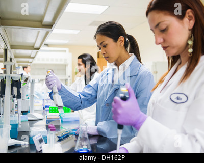 Gli scienziati che lavorano in laboratorio Foto Stock