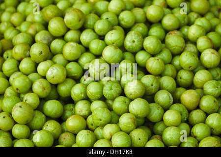 Frutti della LRD indiano sul mercato aperto da vicino Foto Stock