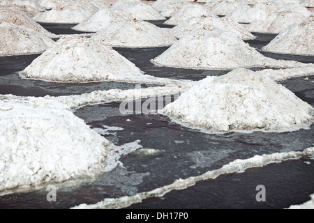 Cumuli di sale naturale. Per la produzione di sale in India Foto Stock