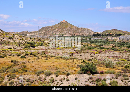 Vista attraverso il deserto con la fortezza araba (Nazari castello) sulla cima della collina e Tabernas, provincia di Almeria, Andalusia, Spagna. Foto Stock