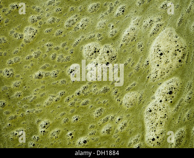 Il verde schiuma sulla superficie dell'acqua sporca - sfondo Foto Stock