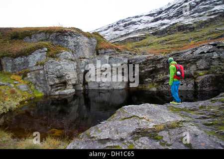 Escursionista guardando fiordo, Norvegia, Europa Foto Stock