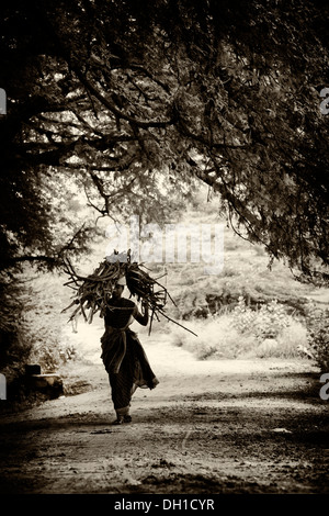 Rurale villaggio indiano donna che trasportano il taglio di legna da ardere sul suo capo nella campagna indiana. Andhra Pradesh, India. Tonalità seppia Foto Stock