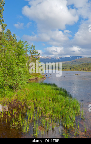 Loch Morlich,, Aviemore Highland, Scotland, Regno Unito Foto Stock