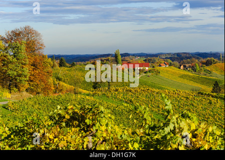 Suedsteirische Weinstrasse, sud della Stiria via del vino in autunno, Austria, la Stiria, sud della Stiria, Glanz Foto Stock