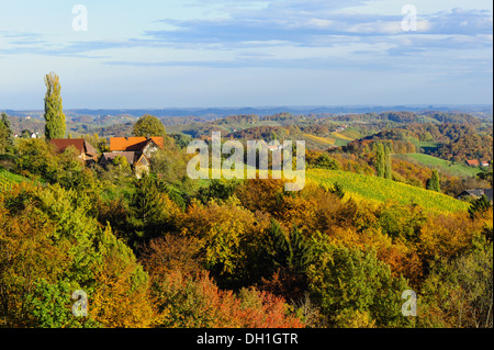 Suedsteirische Weinstrasse, sud della Stiria via del vino in autunno, Austria, la Stiria, sud della Stiria, Glanz Foto Stock