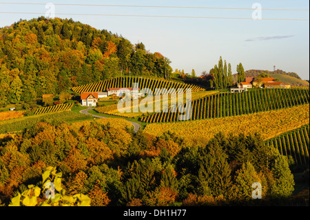 Suedsteirische Weinstrasse, sud della Stiria via del vino in autunno, Austria, la Stiria, sud della Stiria, Gabersdorf Foto Stock