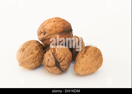 Noci umido su sfondo bianco Foto Stock