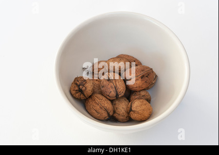 Noci bagnato in un bianco cina ciotola su sfondo bianco Foto Stock