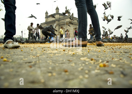 Persone piccioni Gateway of India Mumbai India Asia Foto Stock