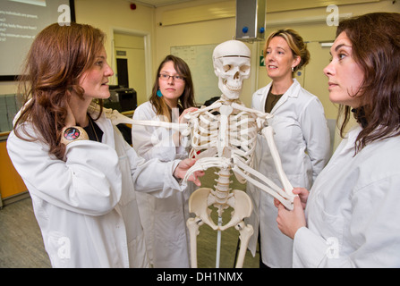 Gli studenti imparano a conoscere l'identificazione di osso con antropologo forense Dr Anna Williams (destra) presso l'Istituto di medicina legale di Cran Foto Stock