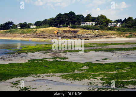 Saint Gildas De Rhuys beach Bretagna Francia Foto Stock