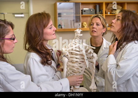 Gli studenti imparano a conoscere l'identificazione di osso con antropologo forense Dr Anna Williams (destra) presso l'Istituto di medicina legale di Cran Foto Stock