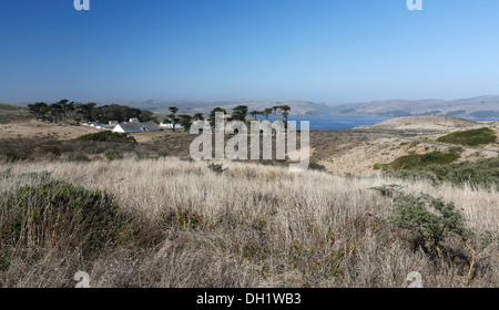 Pierce Point Ranch, Inverness Ridge, Point Reyes National Seashore, Marin Headlands, CALIFORNIA, STATI UNITI D'AMERICA Foto Stock