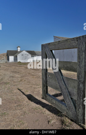 Pierce Point Ranch, Inverness Ridge, Point Reyes National Seashore, Marin Headlands, CALIFORNIA, STATI UNITI D'AMERICA Foto Stock