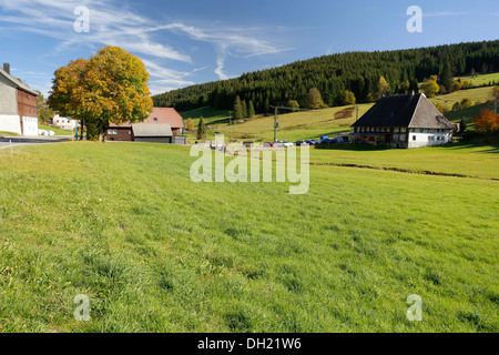 Paesaggio in Urach, Urachtal Valley, Foresta Nera, Baden-Wuerttemberg Foto Stock