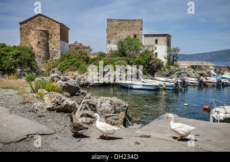 La vecchia casa doganale e la chiesa al porto Kardamiyli, nella parte esterna di Mani, sud del Peloponneso, della Grecia. Foto Stock