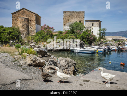 La vecchia casa doganale e la chiesa al porto Kardamiyli, nella parte esterna di Mani, sud del Peloponneso, della Grecia. Foto Stock